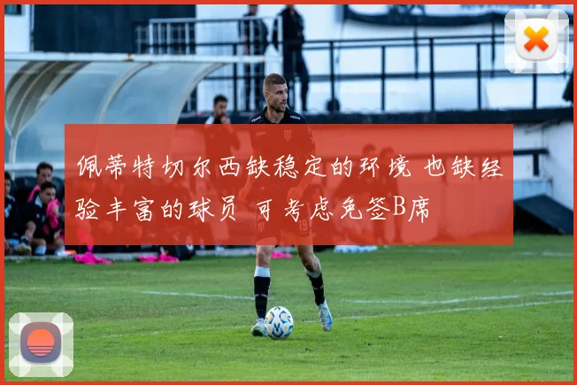 佩蒂特切尔西缺稳定的环境 也缺经验丰富的球员 可考虑免签B席